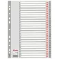 Divisori numerati da 1 a 31 in PPL 21 x 29,7 Esselte